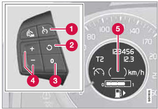 Steering wheel-mounted controls and display