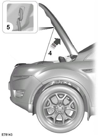 3. Open the bonnet and support it withthe strut.