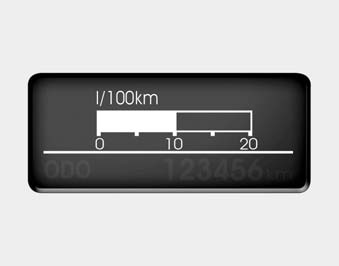 Instantaneous fuel consumption (if equipped)