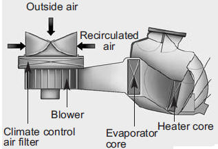 Climate control air filter (if equipped)