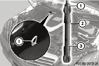 Example: vehicles with a gasoline engine