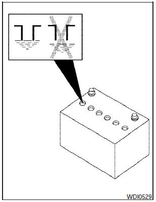 2. Check the fluid level in each cell. If it is necessary to add fluid, add only