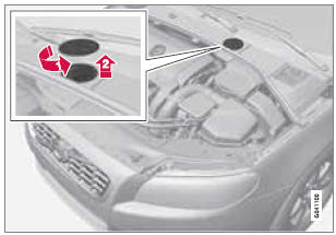 Location of the brake fluid reservoir