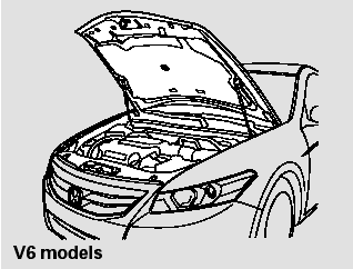 V6 models